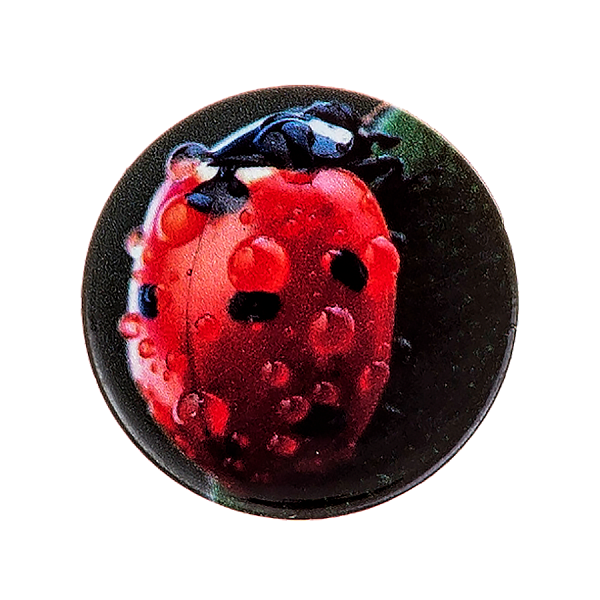Держатель для телефона POPSOCKETS Божья коровка
