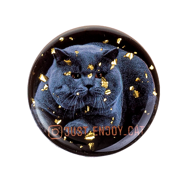 Держатель для телефона POPSOCKETS лаковый с фольгой Британец №1