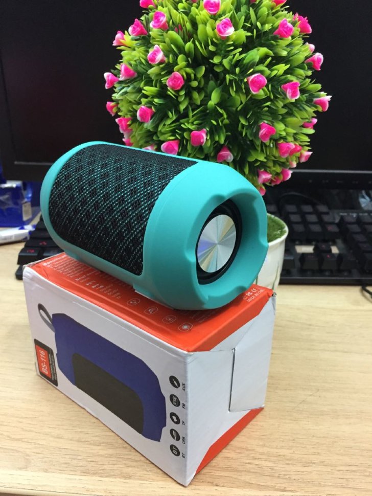 Колонка Bluetooth BS-116 (TF+USB+FM) мята